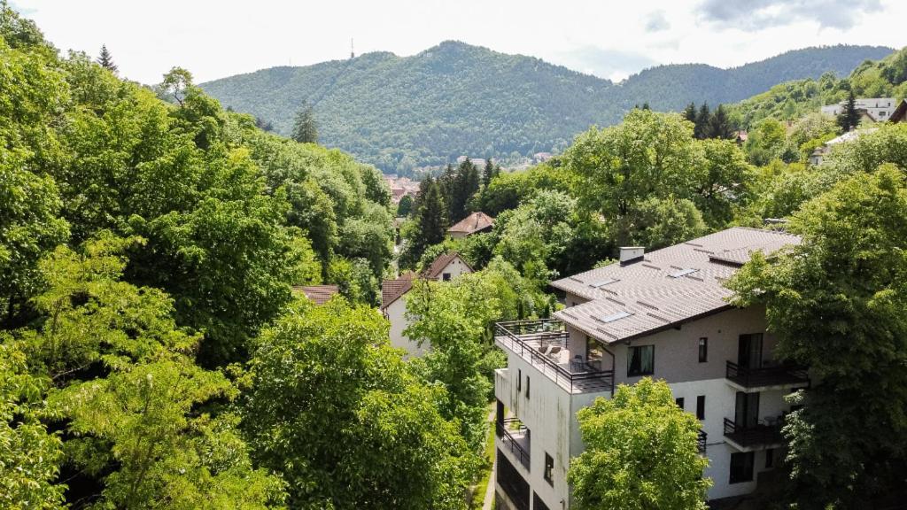 Greenhill Brassó Kültér fotó